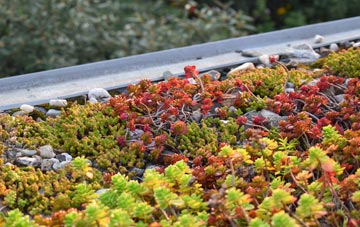 the cost of Paintmoor green roof installation