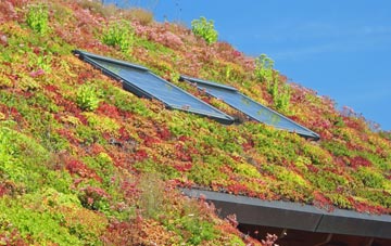 Paintmoor living roof systems